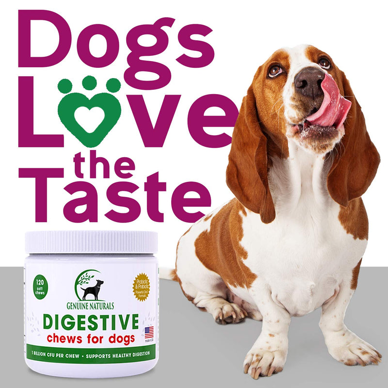 Digestive Supplement for Dogs Best Probiotic for Dogs That Helps with Diarrhea Upset Stomach Bad Breath and Constipation by Genuine Naturals120-Count - BeesActive Australia