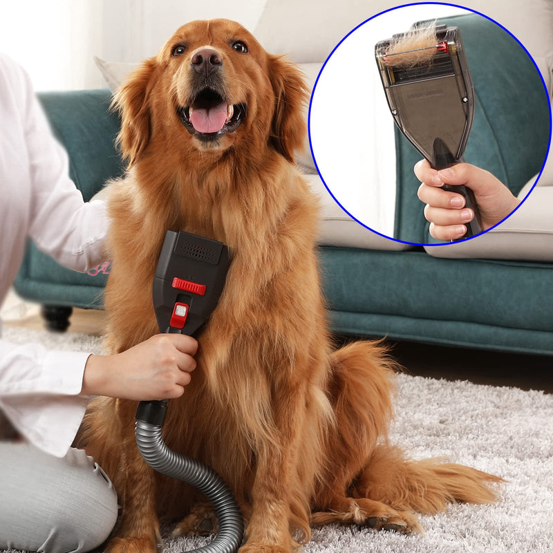 Pet Brush Vacuum Groomer Attachment - Shedding Deshedding Grooming Tool Hair Remover Great for Dogs Cats Fur, Groom Comb as Undercoat Removal, Extension Hose Adapters for Most Vacuum Cleaners - BeesActive Australia