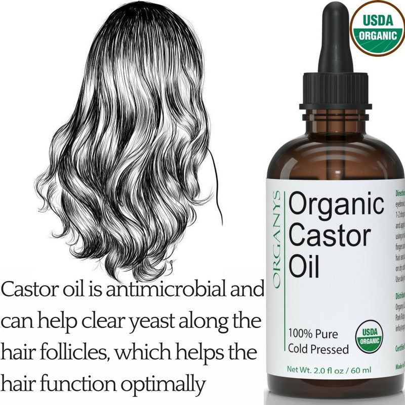 Organic Castor Oil 2oz, For Longer Fuller Thicker Looking Hair Eyelashes & Eyebrows by Organys. Enhances The Appearance Of Natural Lash & Brow Growth. Serum Comes With Eyeliner & Mascara Brushes - BeesActive Australia