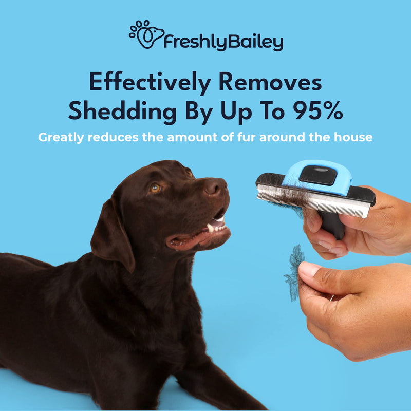 Freshly Bailey Deshedding Brush for Short Haired Dogs & Cats - Cat and Dog Brush for Shedding Short Hair - Highly Effective Deshedder Grooming Comb - BeesActive Australia