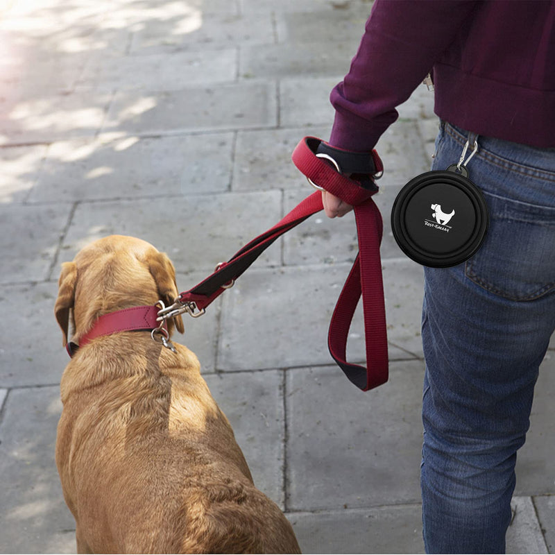 Collapsible Dog Bowls for Travel, 2-Pack Dog Portable Water Bowl for Dogs Cats Pet Foldable Feeding Watering Dish for Traveling Camping Walking with 2 Carabiners, BPA Free Small (Pack of 2) grey&black - BeesActive Australia