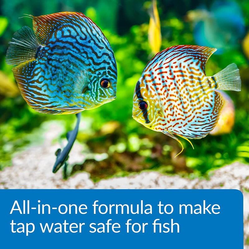 API Aqua Essential Water Conditioner, All-in-One Highly Concentrated Aquarium Formula, Instantly Removes Chlorines, Chloramines, Ammonia, Nitrites, Nitrates and Neutralizes Heavy Metal 16 OZ. - BeesActive Australia
