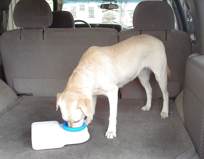 Lixit Dog Travel Water Bowl 3 Quarts 3 Quart - BeesActive Australia
