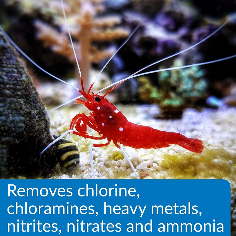 API Aqua Essential Water Conditioner, All-in-One Highly Concentrated Aquarium Formula, Instantly Removes Chlorines, Chloramines, Ammonia, Nitrites, Nitrates and Neutralizes Heavy Metal 16 OZ. - BeesActive Australia