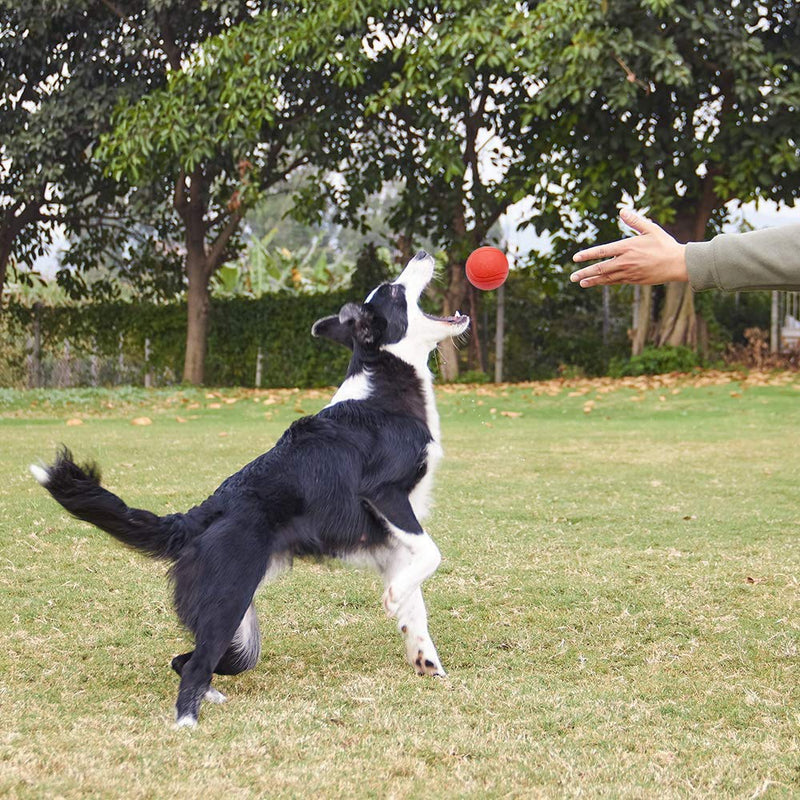 Rubber Dog Ball Chewing Balls Dog Soft Balls Cleaning Teeth Toys Balls with High Bounce for Small Medium Large Pet Toys Red - BeesActive Australia