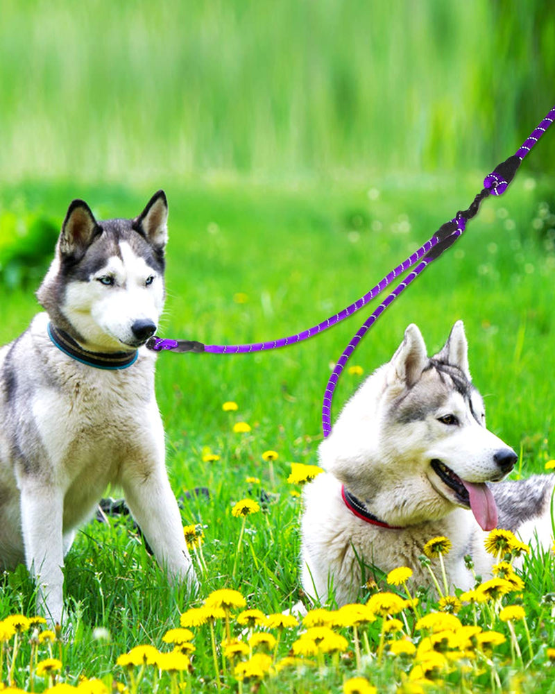 Taglory Double Dog Leash, Reflective Dual Dog Leash, 360 Swivel No Tangle Walking Double Leash for Puppy Small Dogs 30 Inch (Pack of 1) Purple - BeesActive Australia