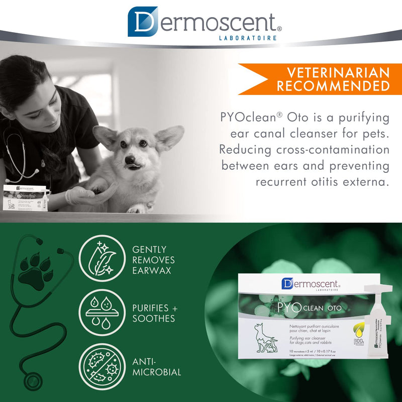 Dermoscent Pyoclean OTO Dog Ear Cleaner - Drops to Stop Head Shaking, Itchy & Waxy Ears - Non-Toxic - Ear Cleaning Solution for Dogs - BeesActive Australia