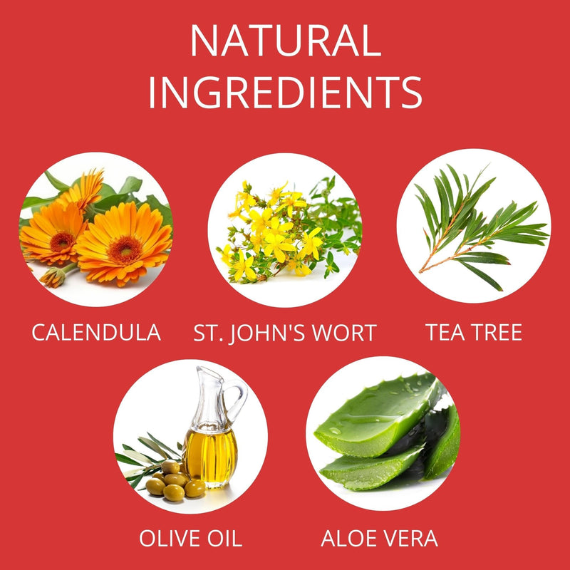 Absolei Calendula Ointment, Natural Ointment for Burns, Wounds and Cuts with Aloe Vera and St John's Wort, 40 ml - BeesActive Australia