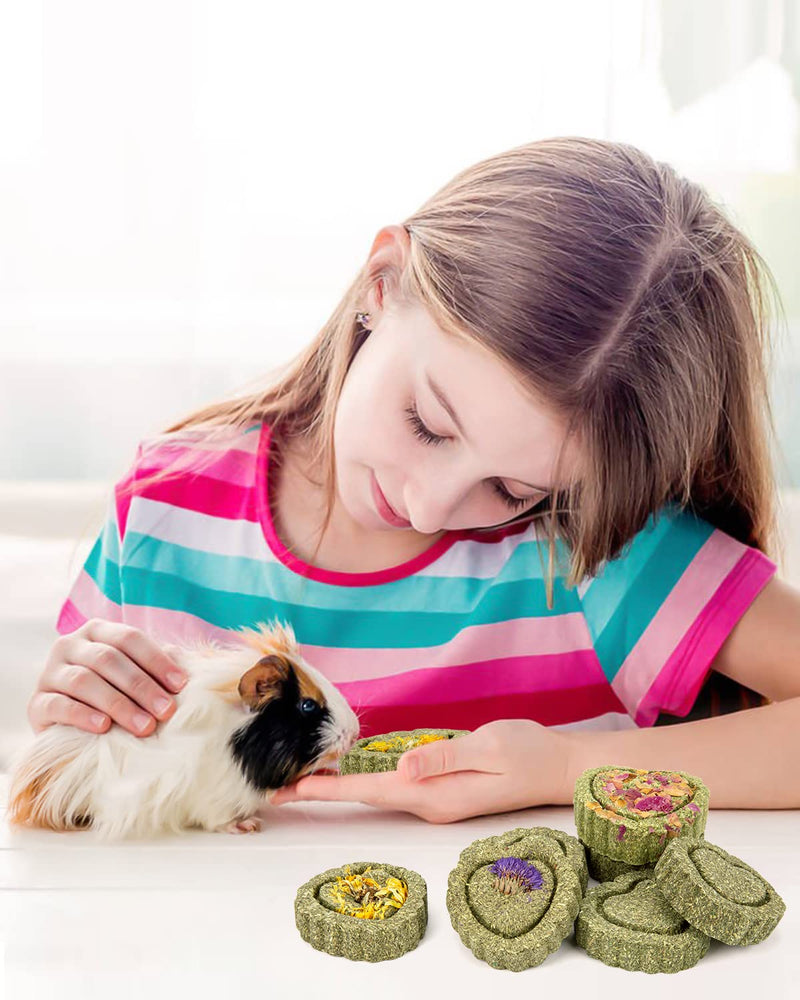 Sofier Timothy Hay Treats Rabbit Toys Bunny Toys Guinea Pig Toys Natural Chews for Teeth Handmade Rabbit Chews and Treats Chinchilla Rat Hamster Gerbil 1 Count (Pack of 12) - BeesActive Australia