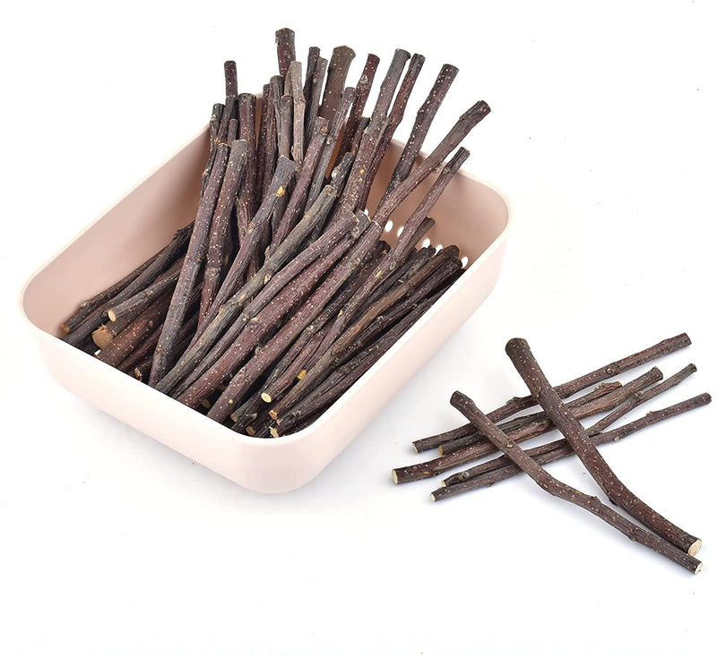 XLpeixin 200g Apple Sticks Small Animals Chew Toys,Small Animals Molar Wood Treats Toys for Rabbits Chinchillas Guinea Pig Hamster Gerbil Bunny，Uniform Thickness and Size thin200g - BeesActive Australia
