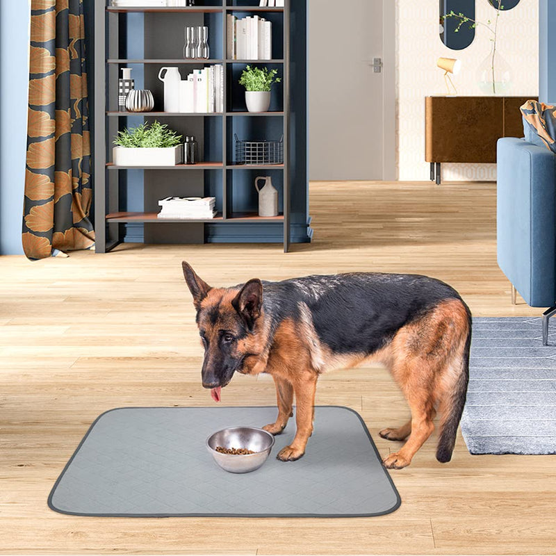 KOOLTAIL Waterproof Dog Food Mat Non-Slip 2 Pack - Absorbent Dog Bowl Mat Large Dogs Feeding Mat Washable Puppy Pee Pads for Dogs Doggy Cats Reusable 35.4" x 23.6" Grey - BeesActive Australia