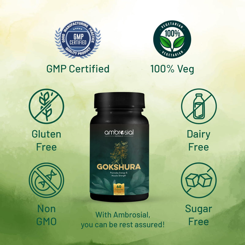 Ambrosial Gokshura Tribulus Terrestris High Strength 500 mg per Capsule | Tribulus Terrestris Extract Capsules for Men & Women | Herbal Supplement for Energy & Immunity (Pack of 1-60 Capsules) 60 count (Pack of 1) - BeesActive Australia