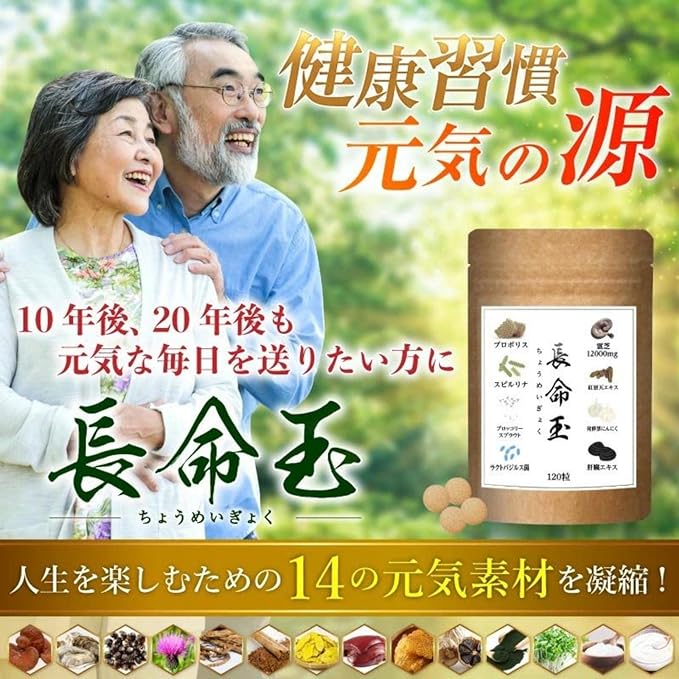 Chomeitama Healthy Energy Supplement Reishi 12000mg Natural Spirulina Propolis Oysters Cylinder Turmeric Garlic Spirulina Broccoli Sprout Supplement 120 tablets 30 days supply Additive-free Made in Japan - BeesActive Australia