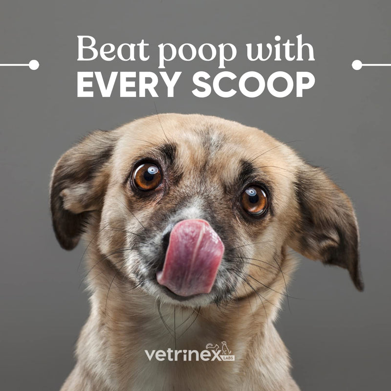 Vetrinex Labs Coprophagia Treatment for Dogs - Stop & Prevent Dog from Eating Poop - No Poop, Stool Eating Deterrent - How to Forbid & Keep Dogs and Puppies from Chewing Cat Feces - Probiotic Powder Original 60 gram - BeesActive Australia