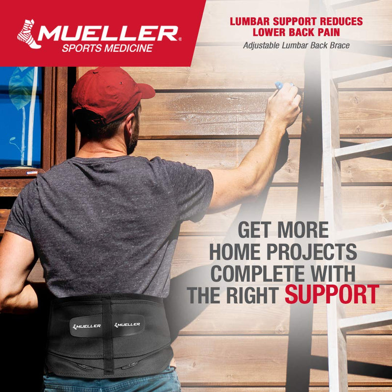 Mueller 255 Lumbar Support Back Brace with Removable Pad, Black, Regular(Package May Vary) Regular (Pack of 1) - BeesActive Australia
