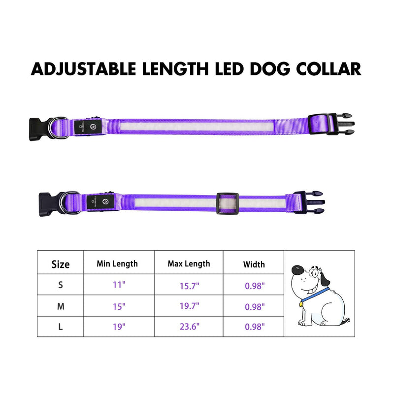 MASBRILL Light Up Dog Collar, LED Glow Collar with USB Rechargeable Lighted Bright Purple Dog Flashing Collar Waterproof, 4 Colors with 3 Sizes for Small Medium Large Dogs M(0.98*19.69") - BeesActive Australia
