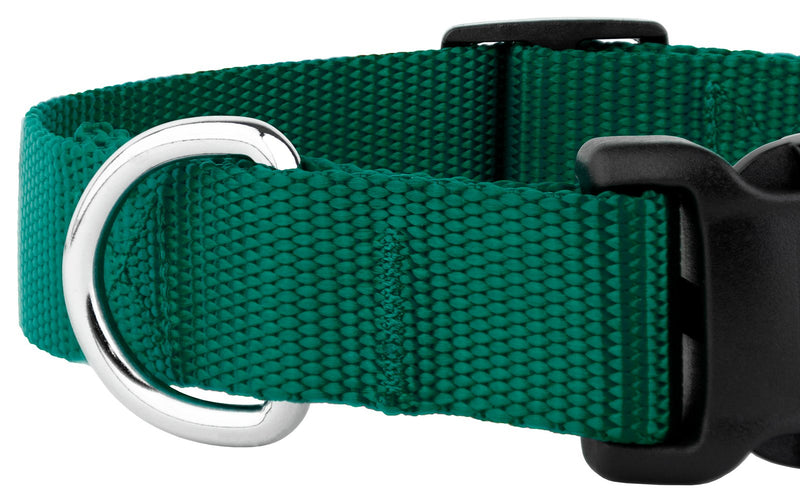 Country Brook Petz - 25+ Vibrant Colors - American Made Deluxe Nylon Dog Collar with Buckle Medium (Pack of 1) Green - BeesActive Australia