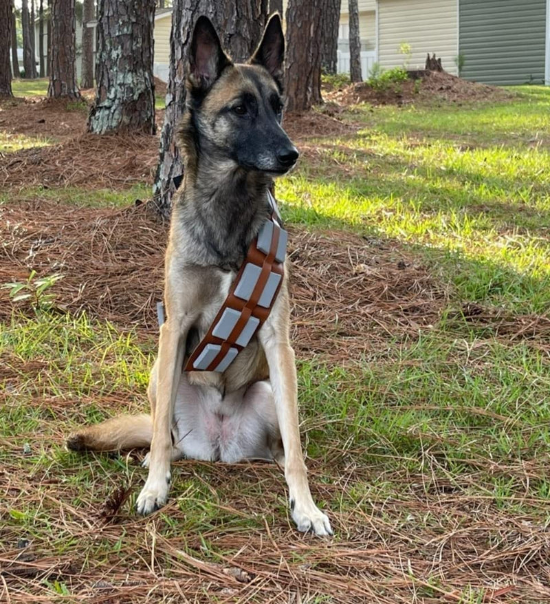 ComfyCamper Furry Star Warrior Utility Belt Dog Costume X-Large - BeesActive Australia