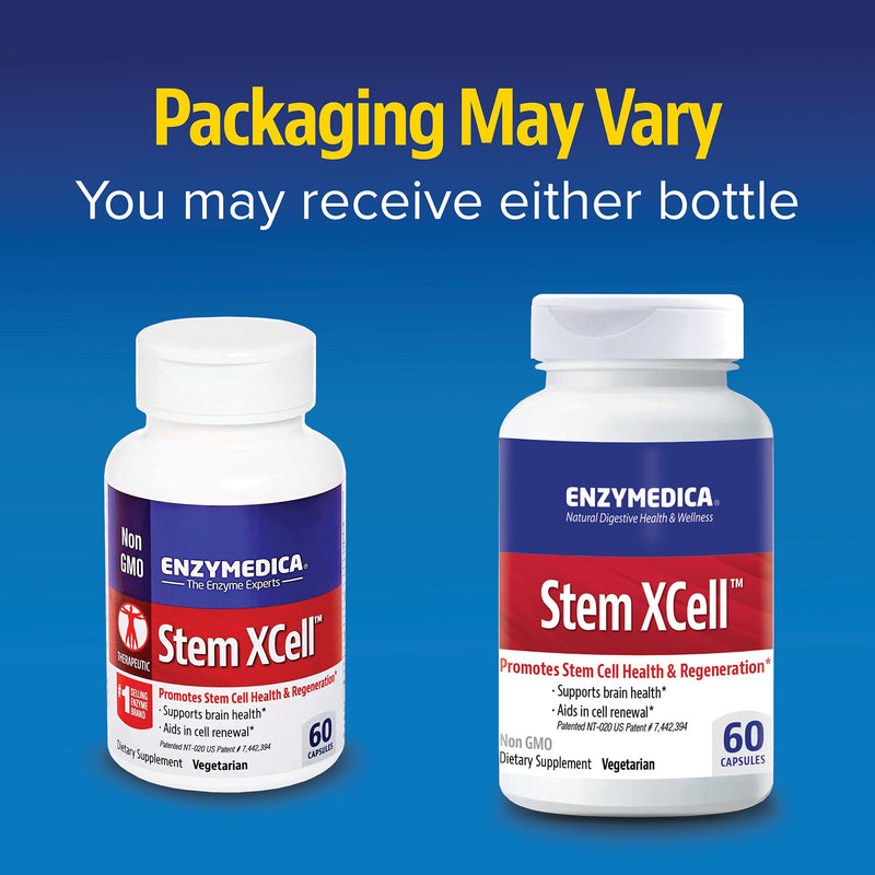 ENZYMEDICA - Stem XCell (60 Capsules) | Therapeutic Enzymes Supplements | Enzyme and Antioxidant Blend for Stem Cell Health and Regeneration, Nutrient Supplements, Vegetarian, Dairy Free, Gluten Free - BeesActive Australia