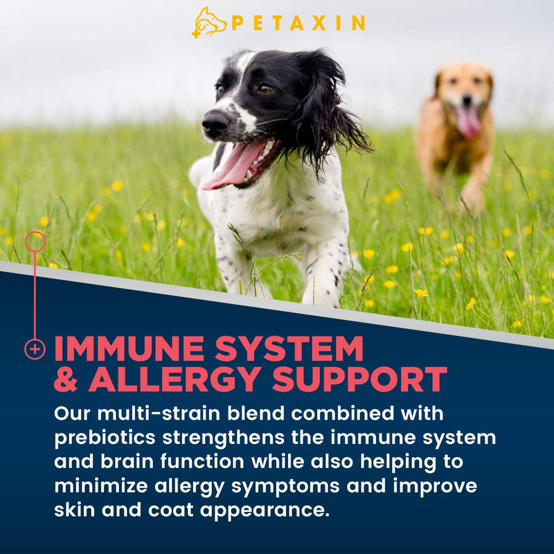 Petaxin Probiotics for Dogs - 6 Strains with Prebiotics - Supports Digestive and Immune System – Relief for Diarrhea, Bad Breath, Allergies, Gas, Constipation, Hot Spots - Made in USA - 120 Chews 1 Pack_120 Chews - BeesActive Australia