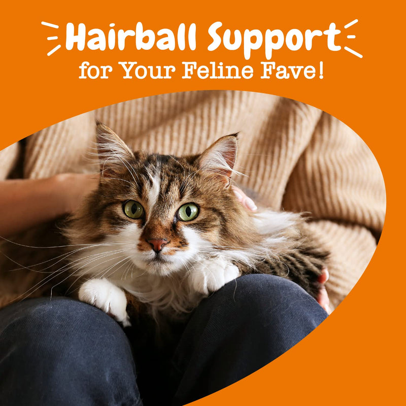 Zesty Paws Hairball Bites for Cats - Cat Furball Control - Functional Supplement with Omega 3 Fish Oil EPA & DHA + Mineral Oil, Zinc, Biotin & Psyllium Husk - Supports Gut & Skin Health - 60 Count - BeesActive Australia