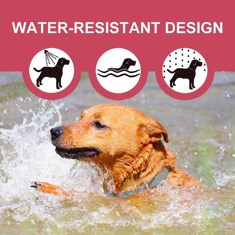 Flea and Tick Collar for Dogs, Flea and Tick Prevention for Dog, 27 Inch, 8 Month Protection 2 PACK DOG - BeesActive Australia