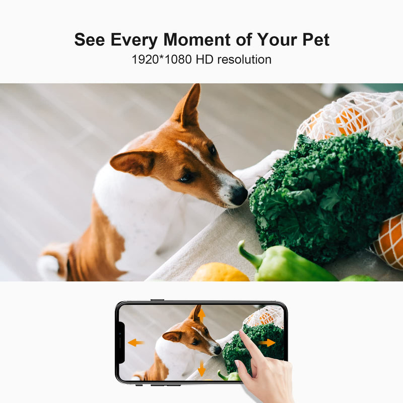 360° Dog Camera - VENZ 1080P HD Pet Camera - Smart Security Camera with Night Vision, 2-Way Audio, Motion Detection - 2.4Ghz Pet Monitor - Work with Alexa& Google - BeesActive Australia