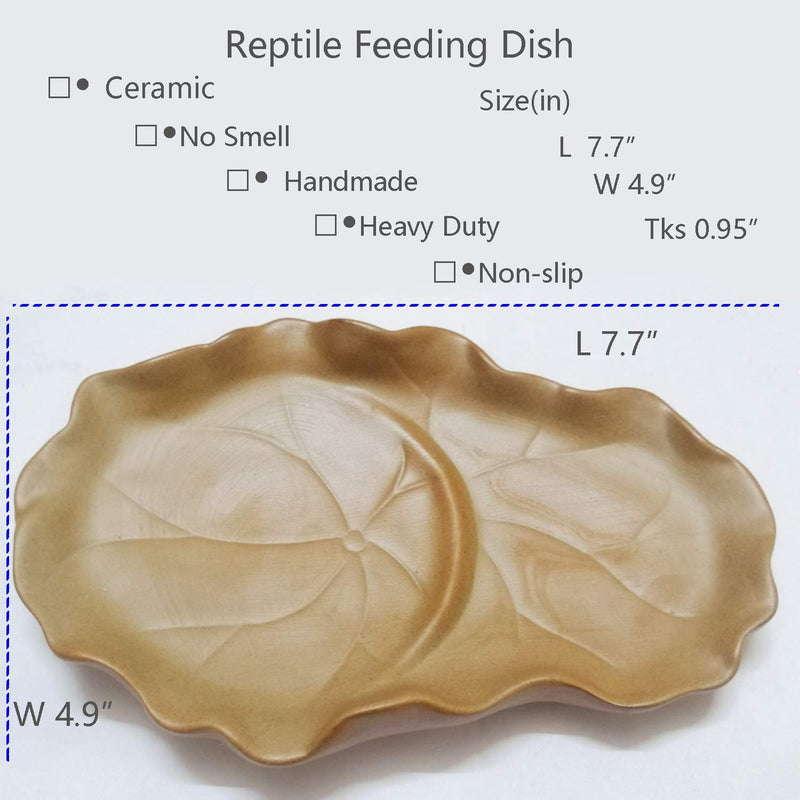 Fuongee Reptile Feeding Dish Bowl Food and Water Bowl Tortoise Dish Reptile Tank Decor, Heavy Duty Ceramic Feeding Dish, Leaf Shaped - BeesActive Australia