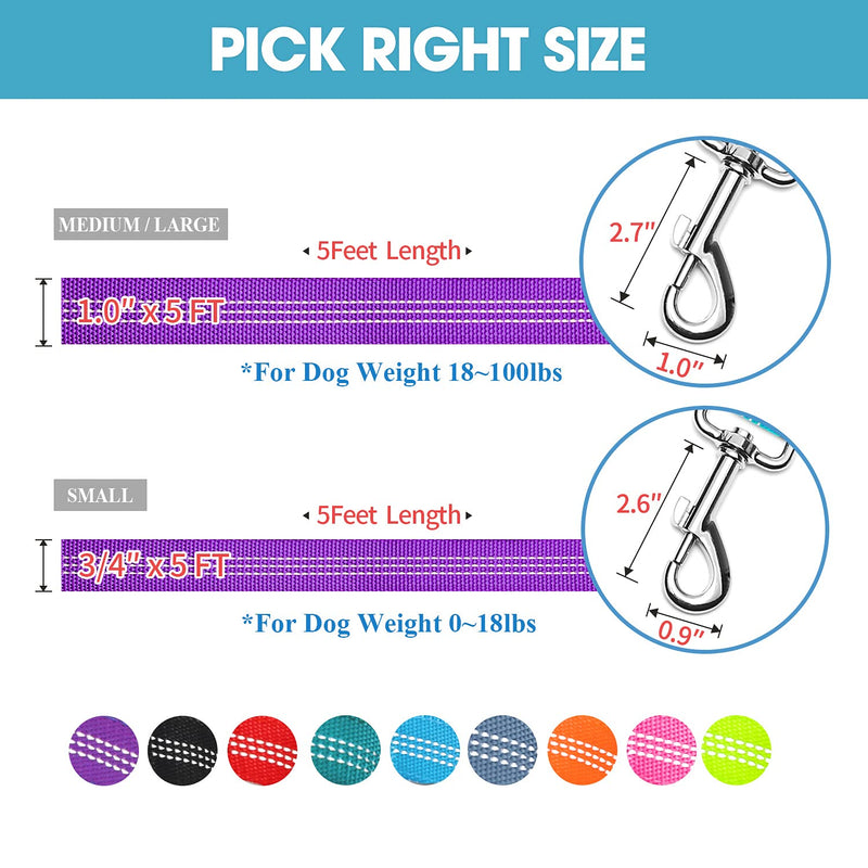 BAAPET 5 Feet Nylon Dog Leash with Triple Reflective Threads and Comfortable Padded Handle for Walking, Training Lead Small Puppy, Medium and Large Dogs Medium/Large (1.0'' x 5 FT) Purple - BeesActive Australia