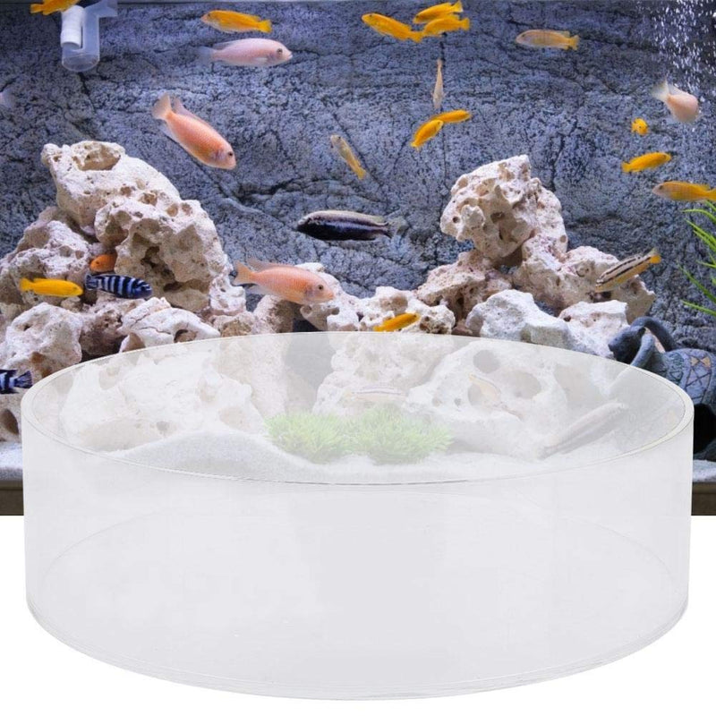 Yencoly Coral Viewer Fish Tank Acrylic,Fish Tank Acrylic Coral Observe Lense Aquarium Fish Photograph Cylinder Magnifier Coral Observe Lense (200mm) 200mm - BeesActive Australia