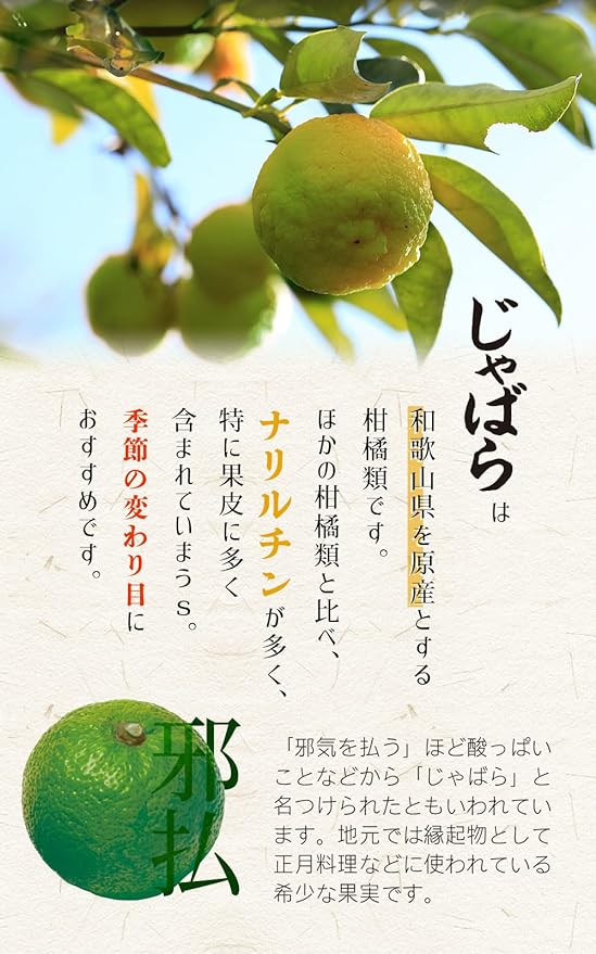 Jabara no grains 60 tablets 2 bags set 60 days supply [Small tablets/Made in Wakayama Prefecture/Using ingredients researched by Osaka City University/For changing seasons/Health/Supplements/Supplemen - BeesActive Australia