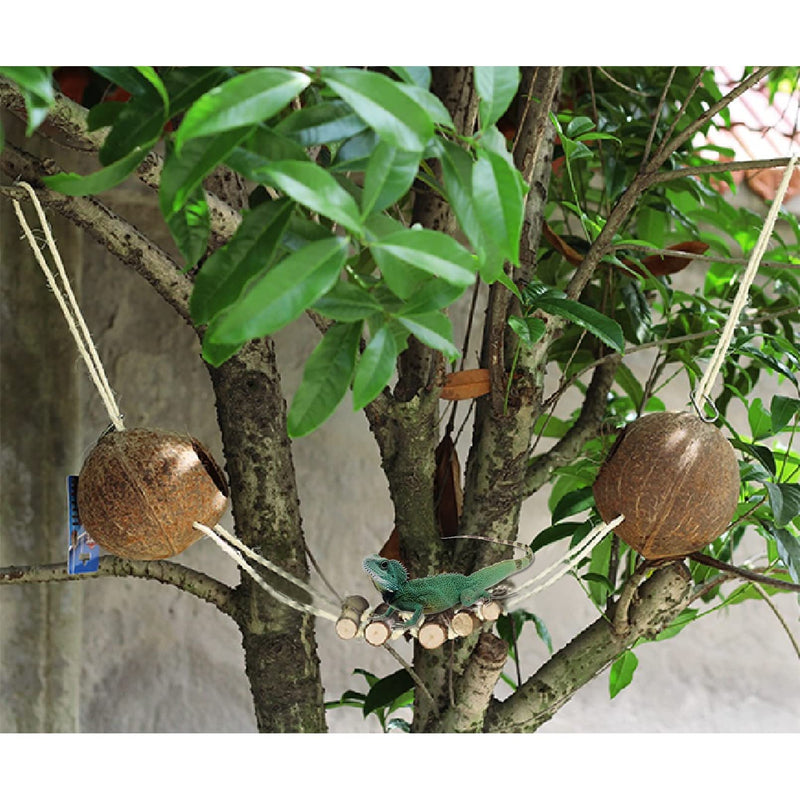 Gecko Coconut Shell Hut,Reptile Hideout Home Nesting House Natural Habitat Decor with Hanging Wooden Ladder for Lizard Gecko Hermit Crab - BeesActive Australia