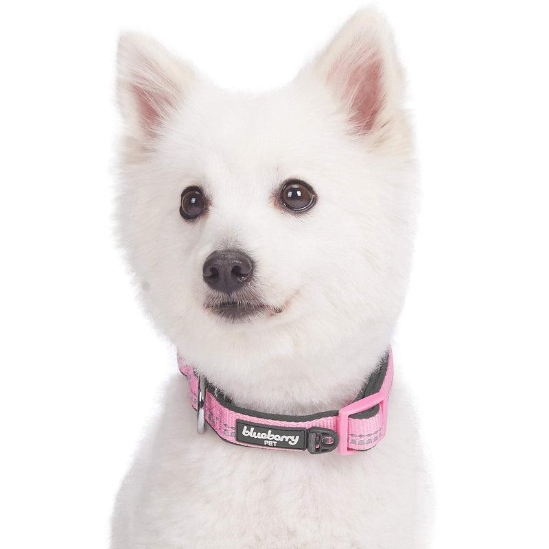 Blueberry Pet 8 Colors Soft & Safe 3M Reflective Pastel Color Neoprene Padded Dog Collars Small Baby Pink - BeesActive Australia