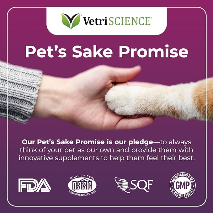 Vetri-Lysine Plus Bite Size Cat Food 120 Count 0900743.120 - BeesActive Australia