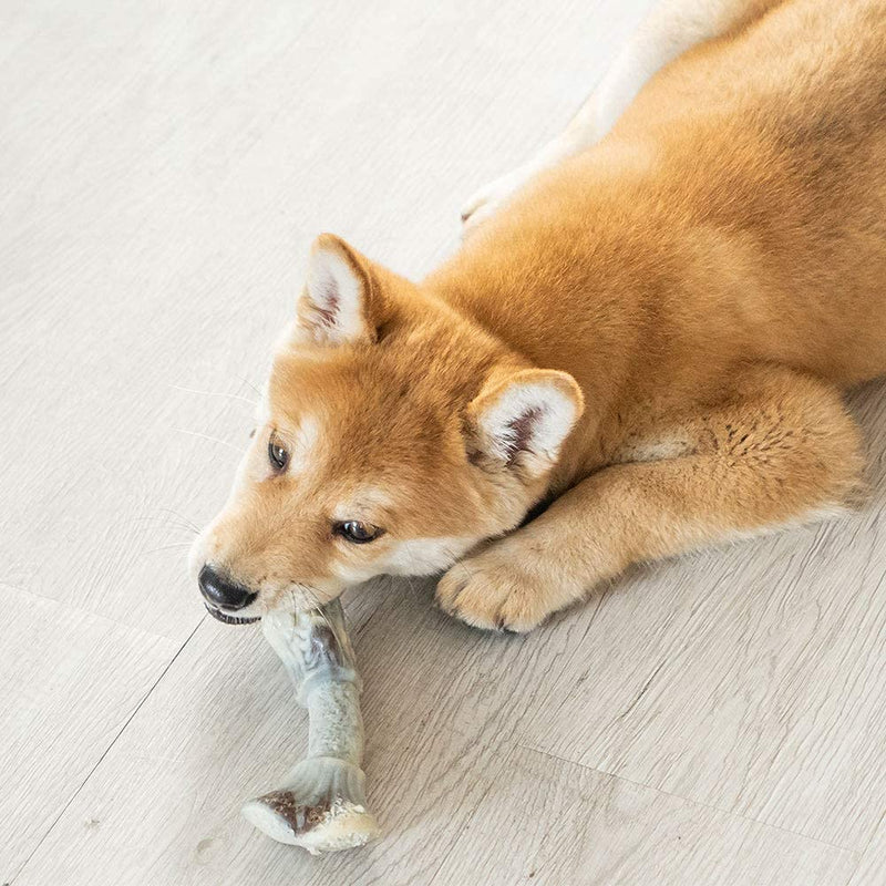PETSLA Dog Chew Toys for Aggressive Chewers, Indestructible Hard Nylon Dog Bone Toy for Large Medium Small Dogs and Teething Puppies Antler Shape Medium (Pack of 1) - BeesActive Australia