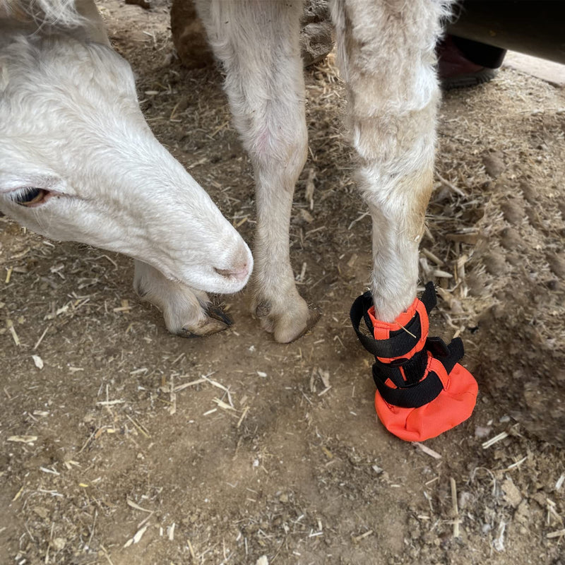 vomvomp Goat Boot Protective Shoes for Sheep Goat Hoof Footsore Foot Rot Treatment - BeesActive Australia