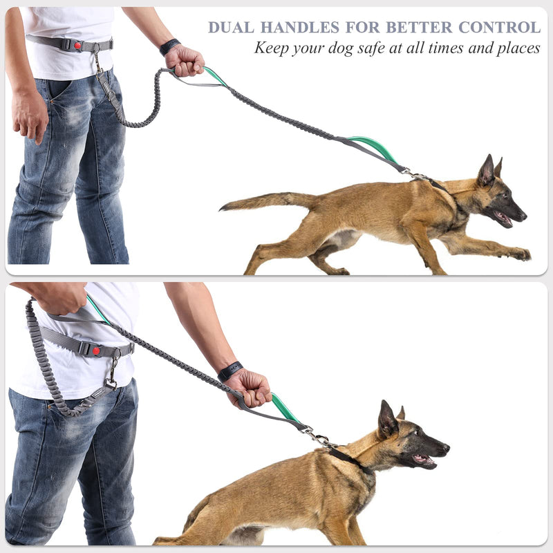 VIVAGLORY Hands Free Dog Leash with Dual Advanced Anti-Shock Bungees and Padded Handles, Reflective Waist Running Leash with Adjustable Belt for Training Jogging for Medium Large Dogs Fits waist 25½"~44" Grey/Turquoise - BeesActive Australia