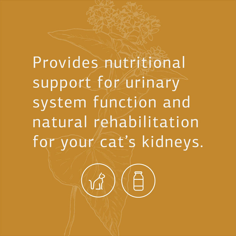 Standard Process - Feline Renal Support - Kidney and Urinary Health for Cats - 90 Tablets - BeesActive Australia