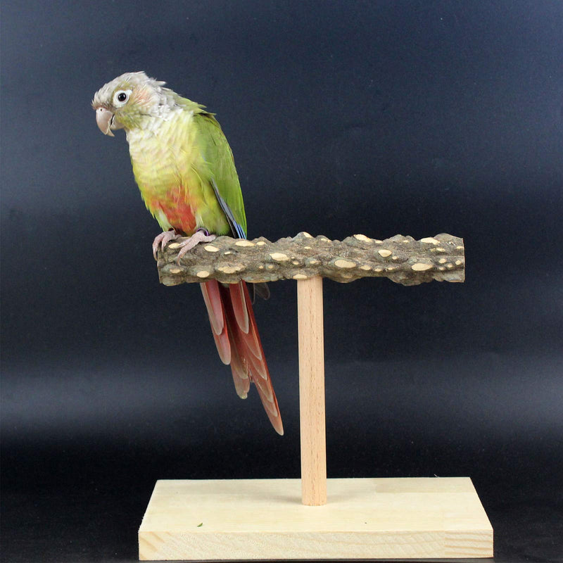 QBLEEV Bird Tabletop Training Stand Perch，Portable Parrot Tee Play Stands, Natural Wood Bird Cage Toys Gym Playground for Small Medium Parakeets Cocktails Conures Lovebirds Finch Large - BeesActive Australia