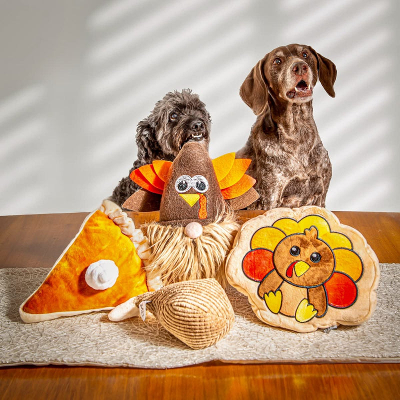 Turkey Thanksgiving Sugar Cookie Dog Toy Small - BeesActive Australia