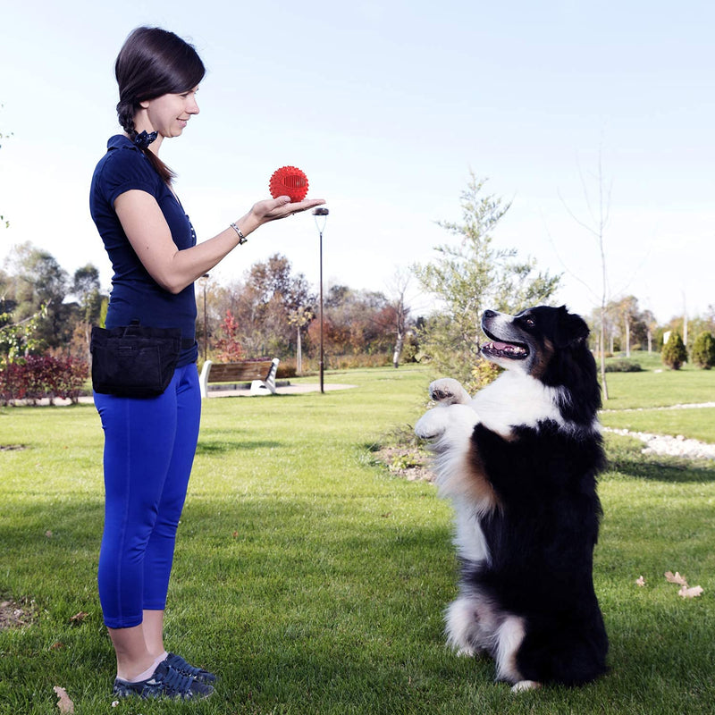 PETIZER Squeaky Dog Ball Toy for Aggressive Chewers ,4 Inches Indestructible Durable Big Dogs Chew Spiky Ball, Floatable Rubber Pet Toys for Medium &Large Breeds Red - BeesActive Australia