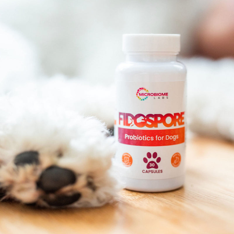 Microbiome Labs FidoSpore Probiotics for Dogs - Dog Probiotic Supplement with Grass-Fed Beef Liver - Digestion & Immune Support - Mix with Pet Food - Dog, Puppy, Cat-Friendly (30 Powder Capsules) - BeesActive Australia