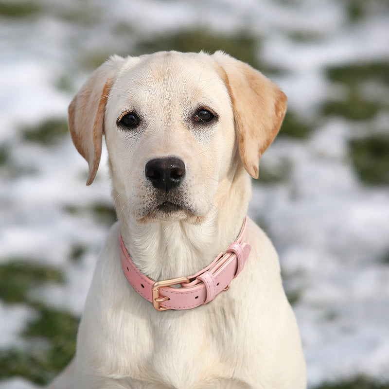 WHIPPY Leather Dog Collar for Small Medium Large Dog Adjustable Soft Breathable Leather Padded Puppy Collar with Alloy Buckle Heavy Duty Waterproof Classic Dog Pet Collar S:Neck 13"-17",Width 0.78" A-pink - BeesActive Australia