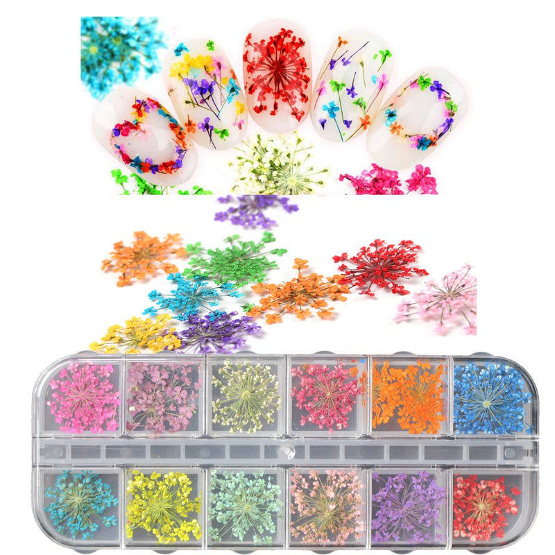 Dried Flower Nail Art Accessories Kit 3D 12 Color Dry Flower, Nails Rhinestone Pearl Metal Studs Wheel, Multicolor Striping Tape Line Decoration Set with Tweezers (SET19A) SET19A - BeesActive Australia