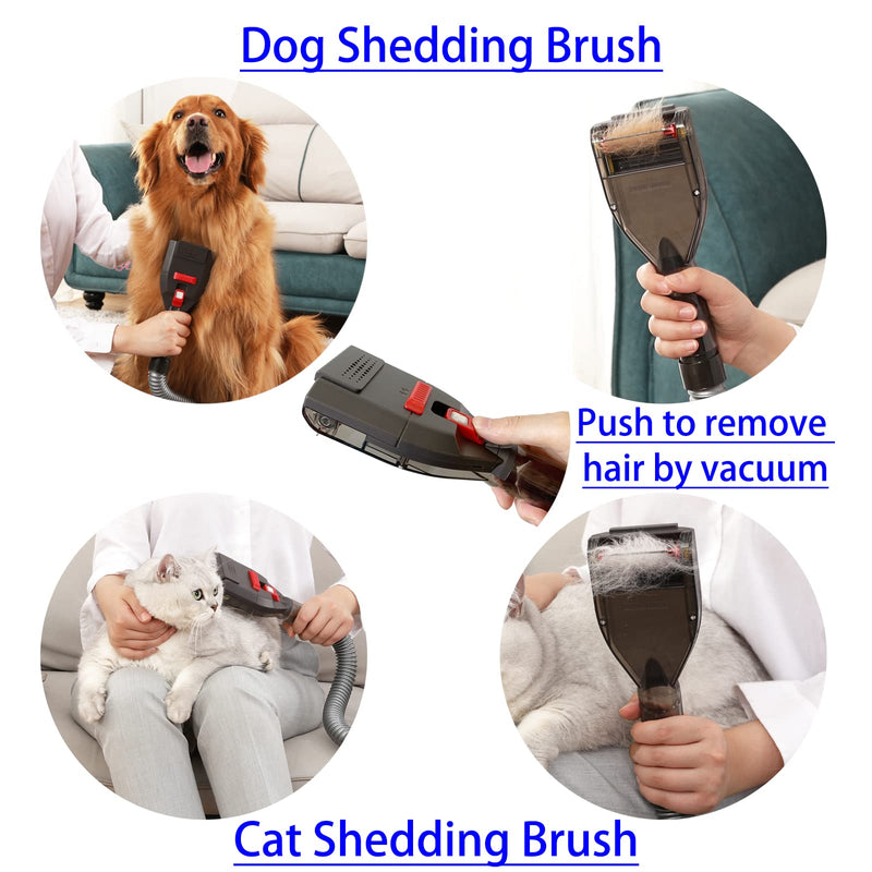 Pet Brush Vacuum Groomer Attachment - Shedding Deshedding Grooming Tool Hair Remover Great for Dogs Cats Fur, Groom Comb as Undercoat Removal, Extension Hose Adapters for Most Vacuum Cleaners - BeesActive Australia
