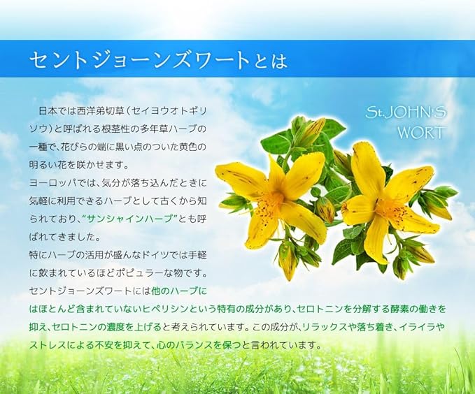 SeedComs St. John's Wort Supplement, Approx. 3 Months Supply, 90 Tablets - BeesActive Australia