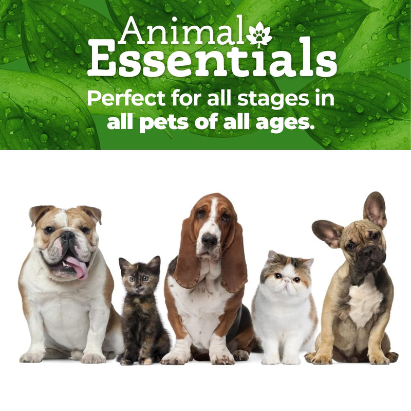 Animal Essentials Breathe EZ Herbal Supplement for Dogs & Cats (Multiple Sizes) - Supports Clear, Healthy Respiration-Breathing 1 fl oz (30 ml) - BeesActive Australia
