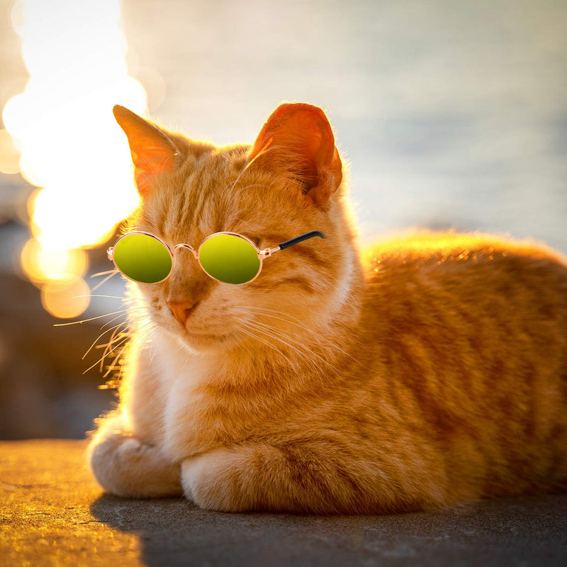 10 Piece Pet Sunglasses Round Metal Pet Sunglasses Classic Retro Pet Sunglasses Cute and Funny Pet Sunglasses Dog Cat Cosplay Party Costume Photo Props Mixed Color - BeesActive Australia