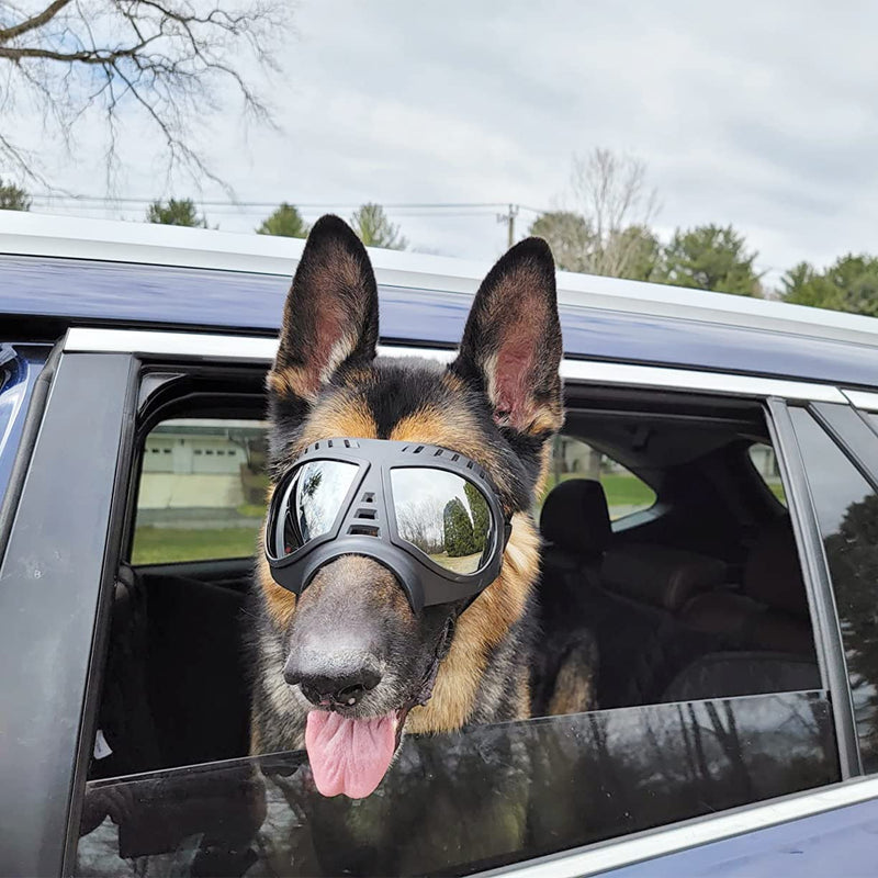 Namsan Soft Dog Goggles UV Protection Sunglasses Large Small-Medium Dogs Windproof Anti-Fog Sport Pet Glasses for Long Snout Dogs Eye Protective (Large)Silver Lens - BeesActive Australia