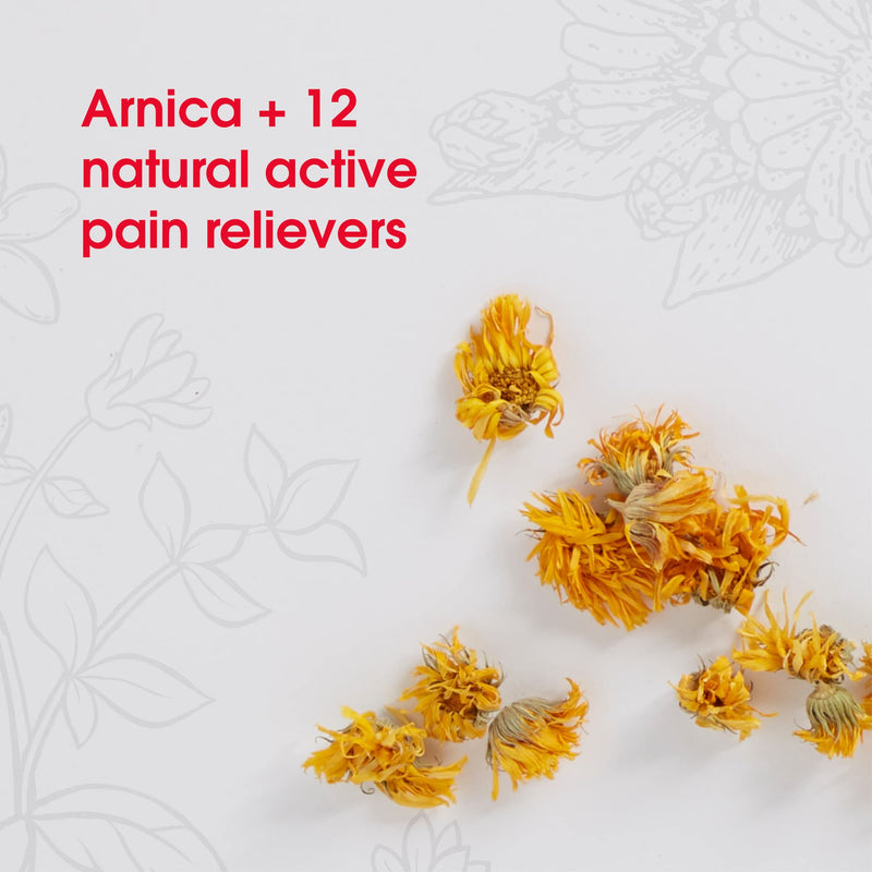 T-Relief Pet Pain Relief Arnica +12 Powerful Natural Medicines Help Reduce Muscle, Joint & Hip Pain, Soreness, Stiffness, Injuries in Dogs & Cats - Vet Approved, Fast-Acting Soother - 90 Tablets - BeesActive Australia
